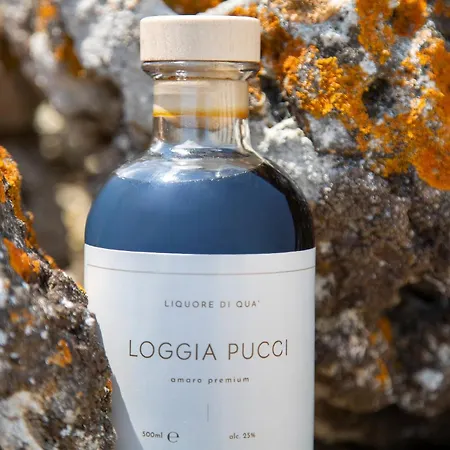 Casa de hóspedes Masseria Loggia Pucci